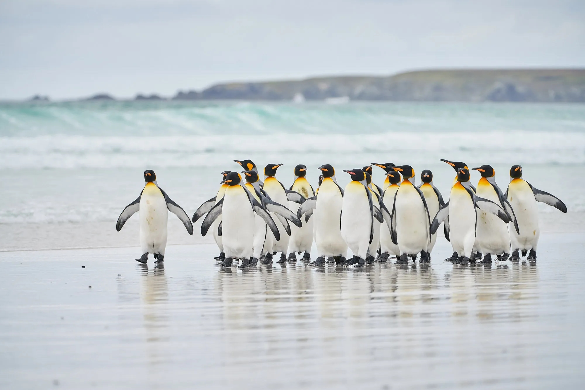 Antarctica landscape