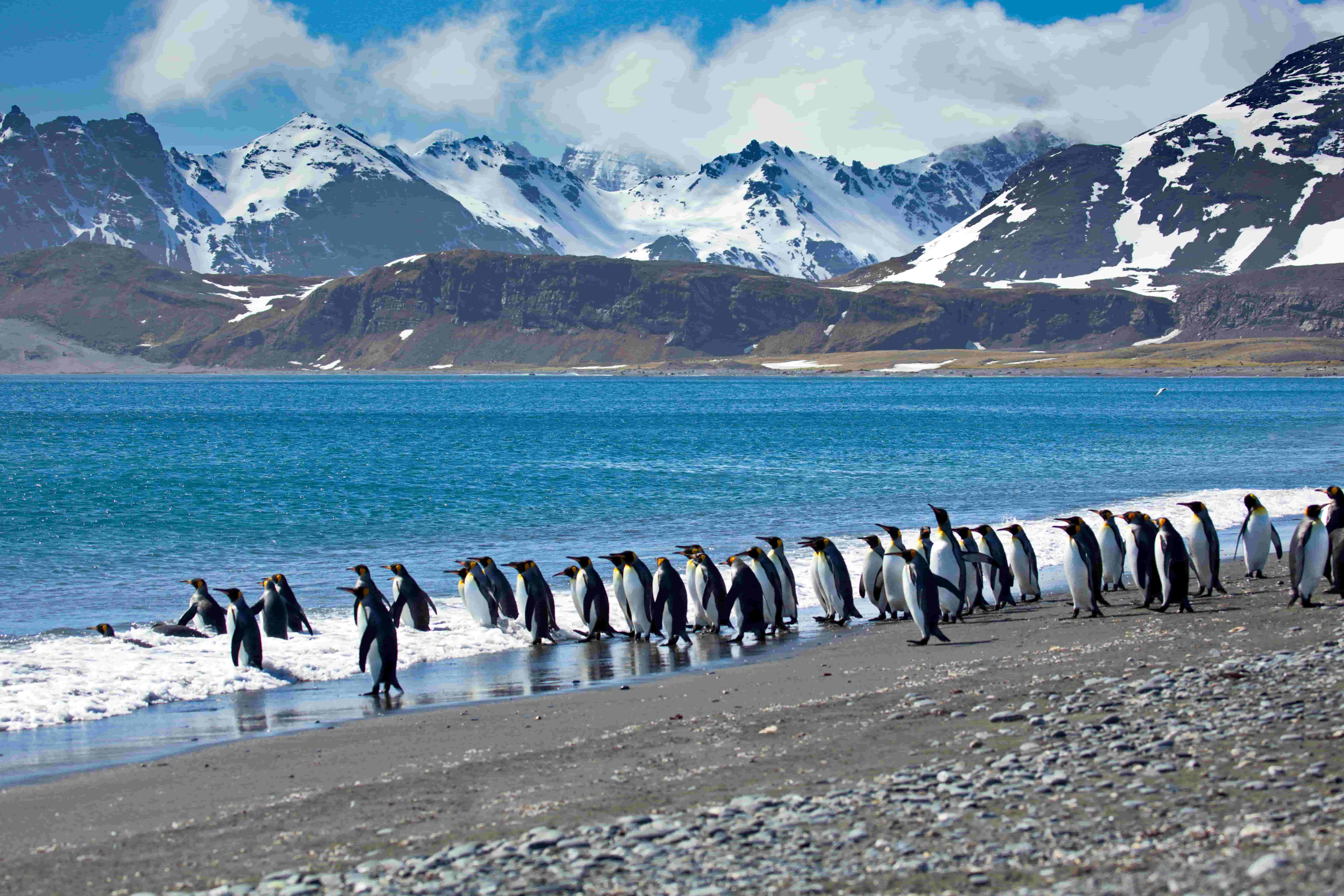 Antarctica