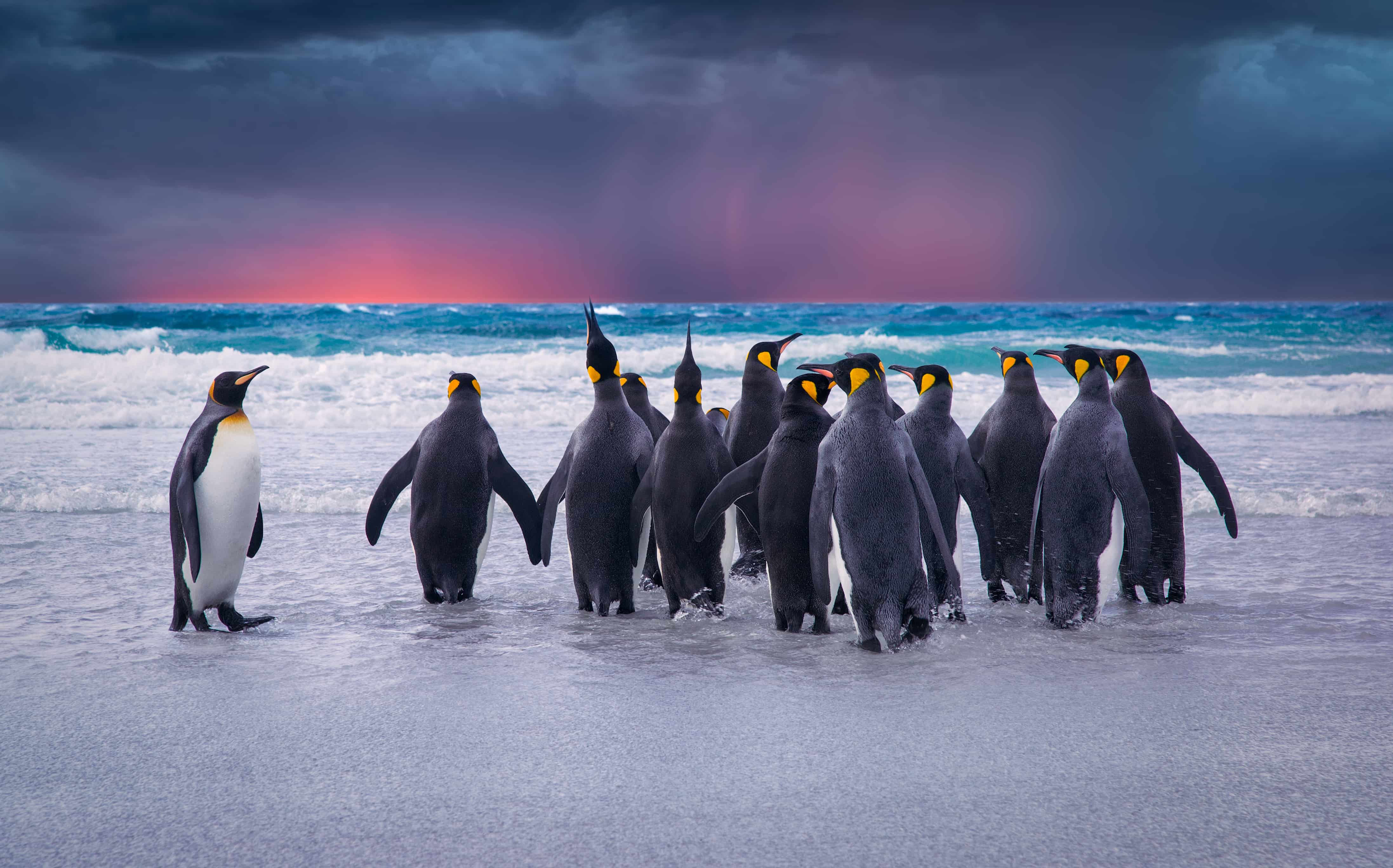 Antarctica landscape